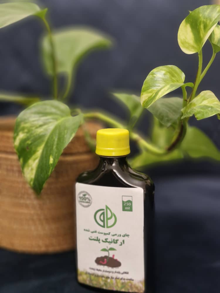 چای ورمی کمپوست